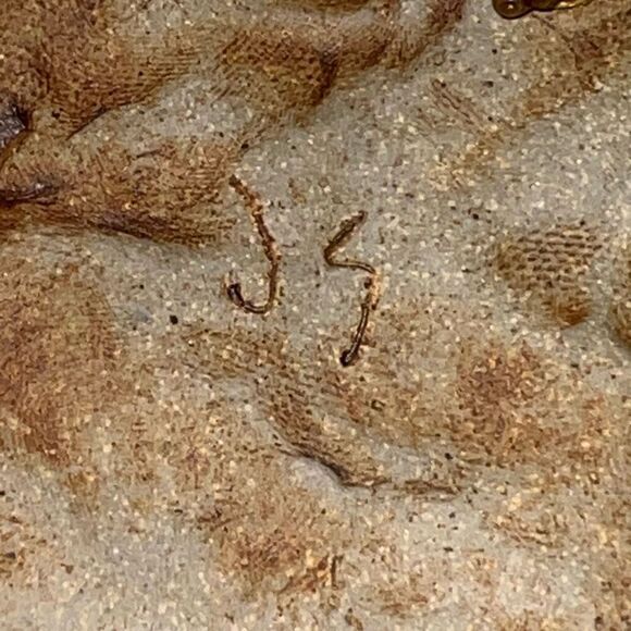 Vintage Signed Sea Turtle Wall Plaque Cast Stone Cement Signed JS Hand Made - Picture 7 of 7